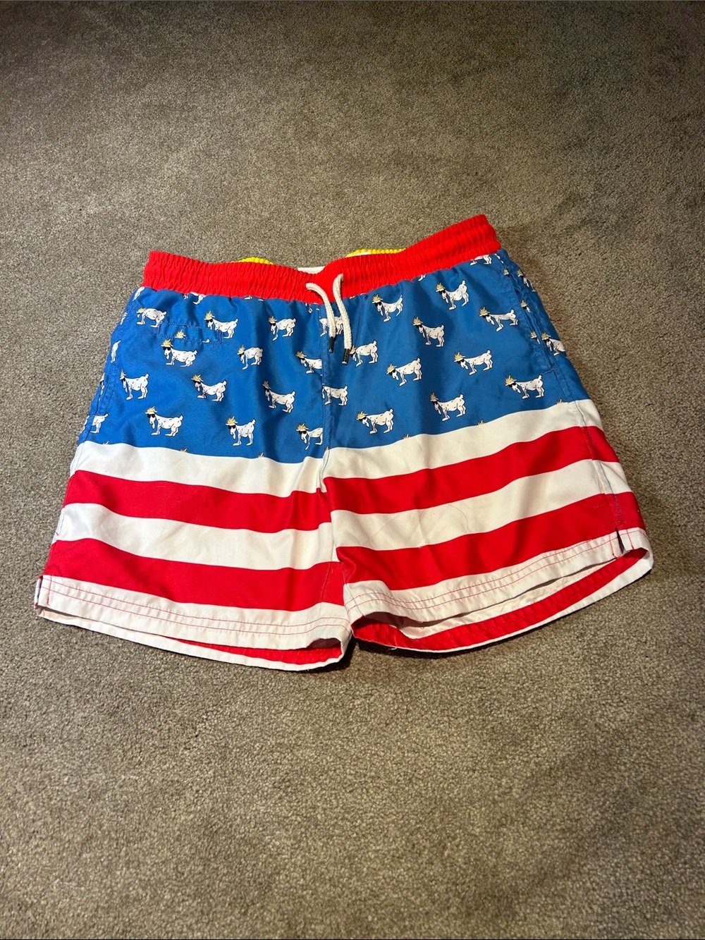 Kids Red, White & Blue Patriotic Swim Trunks with Dog Print